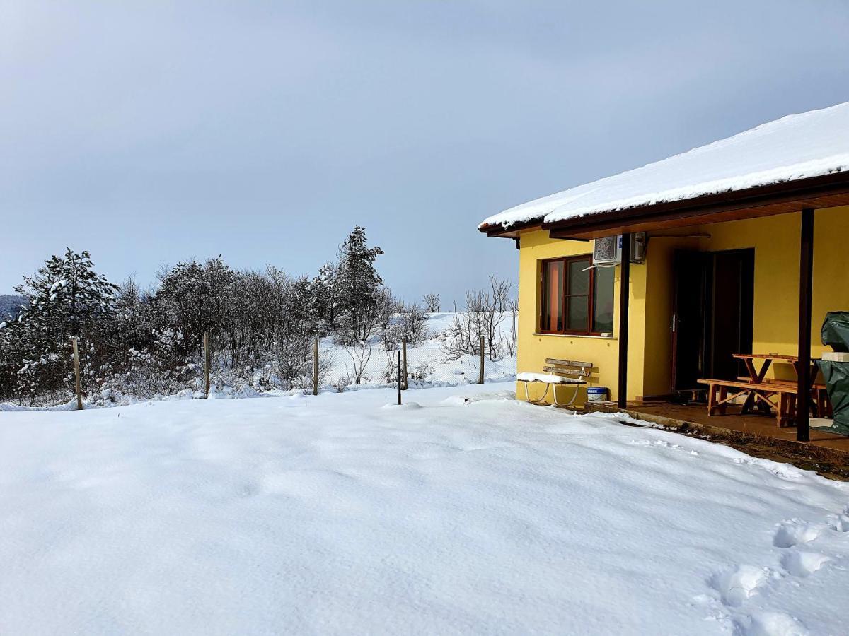 Malavi Guest House Krasen! Comfort&Clean! 外观 照片